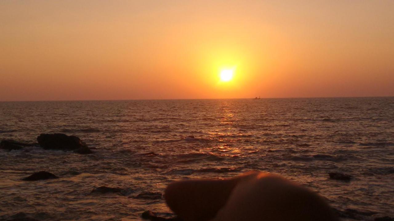 Shree Sai Cottage Sea View Arambol Dış mekan fotoğraf